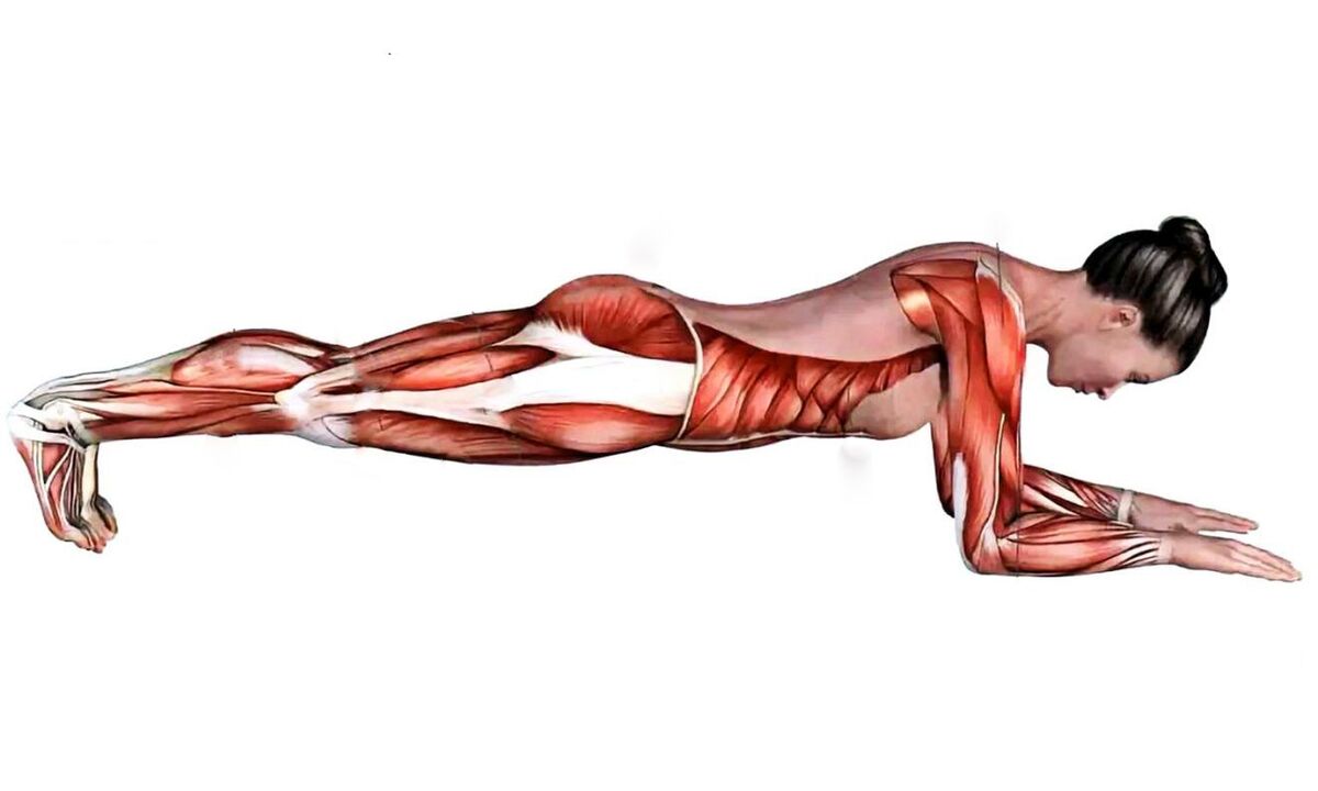 aké svaly pracujú pri planku